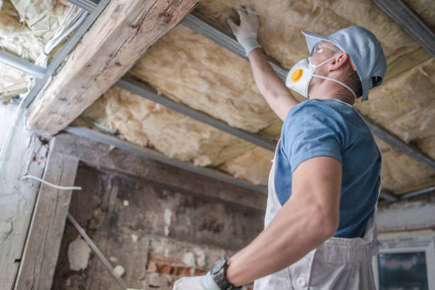 Best DIY Insulation Kits and Guidance in Arnaudville, LA