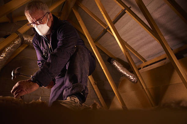 Professional Insulation Contractor in Arnaudville, LA